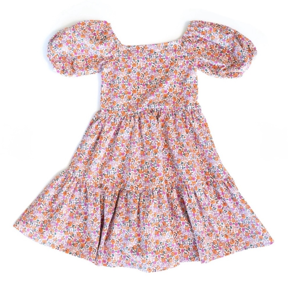 Alice and Ames The Juliet Dress in Prim Floral - 2T